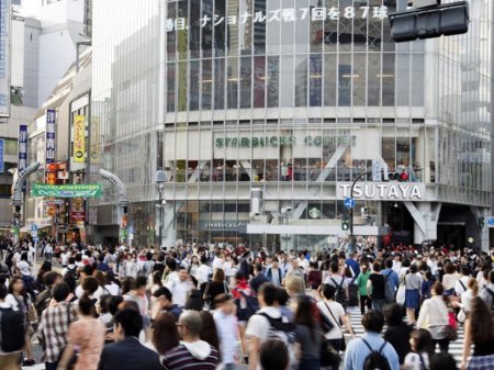 Presentando Tokio 6 Horas- La Zona Oeste de Tokio [Meiji-Jingu,Harajuku, Shibuya, La Plataforma De Observación de Edificio del Gobierno Metropolitano de Tokio]