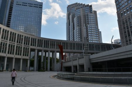 Presentando Tokio 6 Horas- La Zona Oeste de Tokio [Meiji-Jingu,Harajuku, Shibuya, La Plataforma De Observación de Edificio del Gobierno Metropolitano de Tokio]