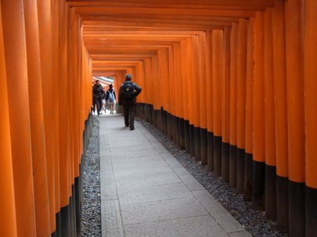 Kyoto Full Day 8 Hours [Kinkaku-ji, Fushimi-Inari, Kiyomizu-dera, Gion]
