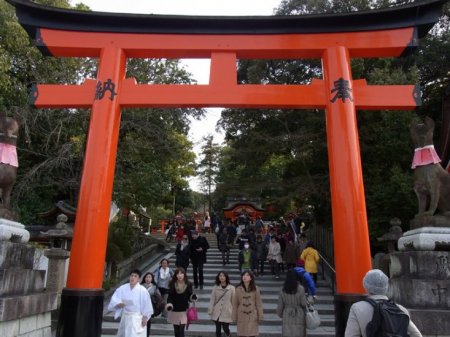 Un Día Entero En Kioto: 8 Horas [Kinkaku-Ji, Fushimi- Inari, Kiyomizu-Dera, Gion]
