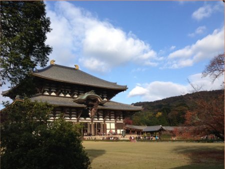 Nara Highlights 8 Hours [Todaiji, Nara-Park, Kasuga-Taisha, Naramachi, Kofuku-ji]