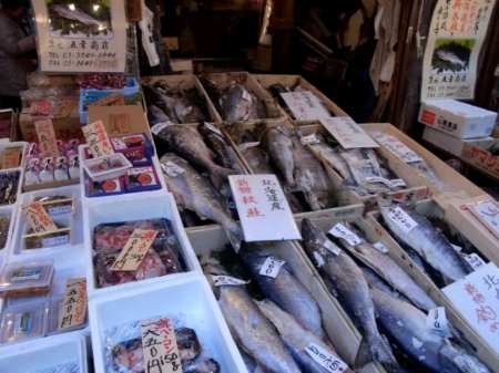 Morning Tour around Tokyo Bay - Tsukiji & Hama-rikyu Gardens