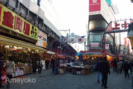 Tokyo Highlights 4 Hours - East Tokyo [Asakusa, Ueno]
