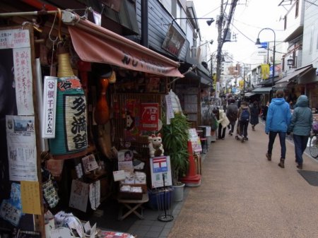 The Hidden/Local Sites and Off-the-beaten tracks in Tokyo [Yanaka, Nezu Shrine, Kagurazaka]
