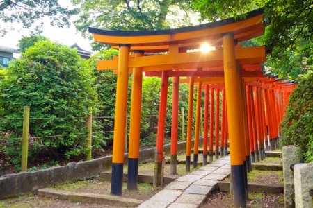 The Hidden/Local Sites and Off-the-beaten tracks in Tokyo [Yanaka, Nezu Shrine, Kagurazaka]