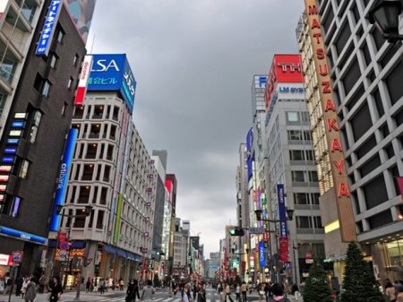 Presentando Tokio 8 Horas [La Plaza Imperial, Asakusa, Harajuku, Meiji-Jingu, Shibuya]