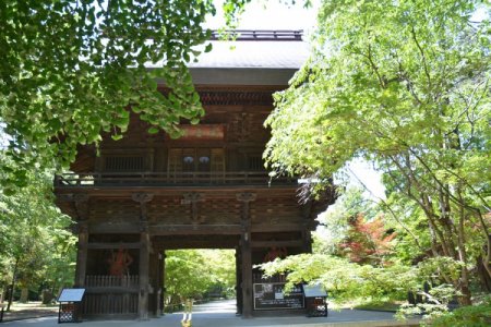 Old and New Shibuya [Old Asakura House, Meguro Riv. Walk, Joshinji Temple, Todoroki Valley, Sangenjaya]