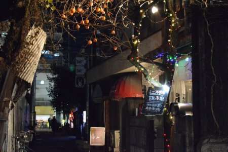 Old and New Shibuya [Old Asakura House, Meguro Riv. Walk, Joshinji Temple, Todoroki Valley, Sangenjaya]