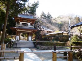 Excursion pour Kamakura Zen temples et Daibutsu (grand bouddha)