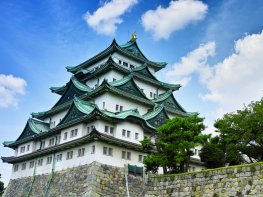 Nagoya Highlights 8 Hours [Nagoya-jo Castle, Osu-town, Atsuta-jingu Shrine]