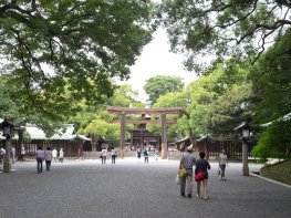 Tokyo Highlights 8 Hours - [Imperial Palace Plaza, Asakusa, Harajuku, Meiji-Jingu, Shibuya]
