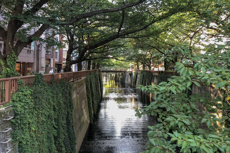 Meguro River Walk