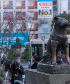 Shibuya Hachiko