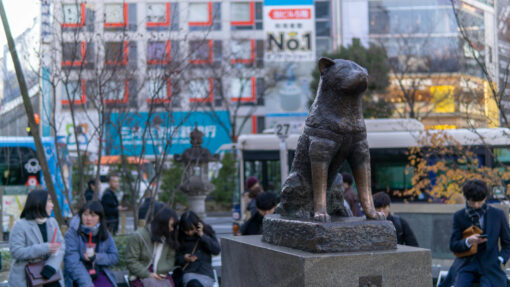 Shibuya Hachiko