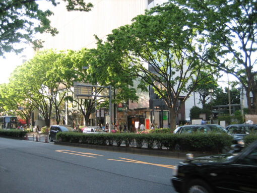 Omotesando st.