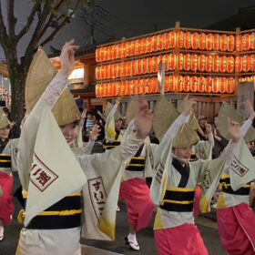 awa odori