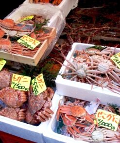 tsukiji, crab