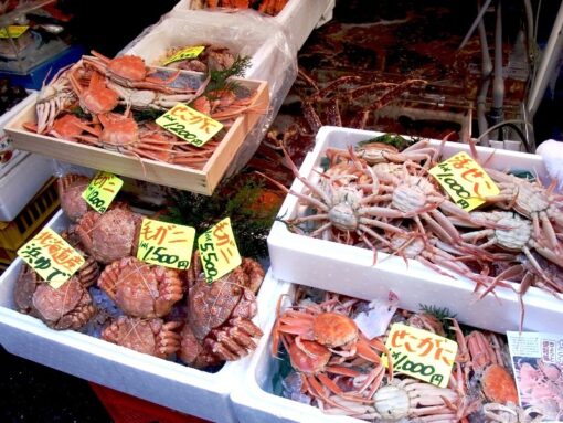 tsukiji, crab