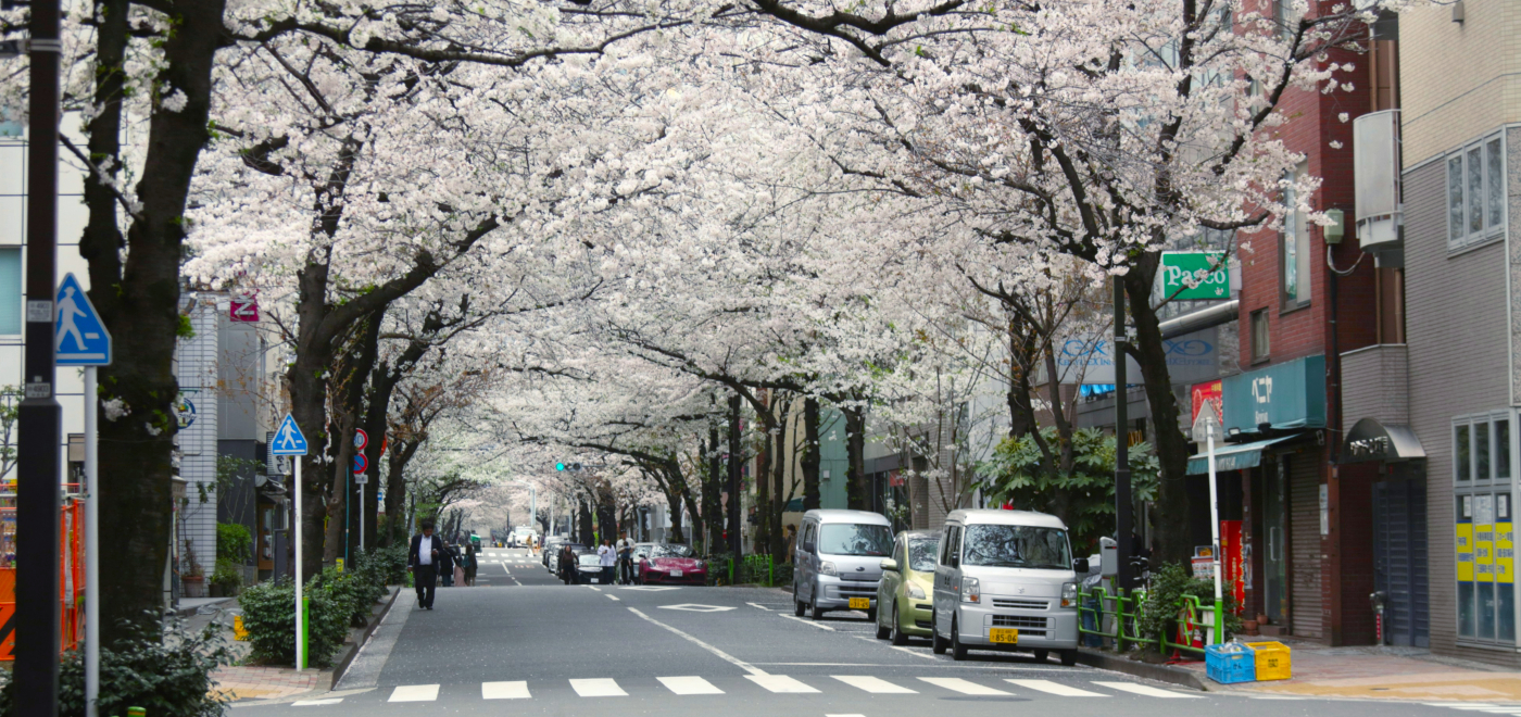 Spring Tokyo