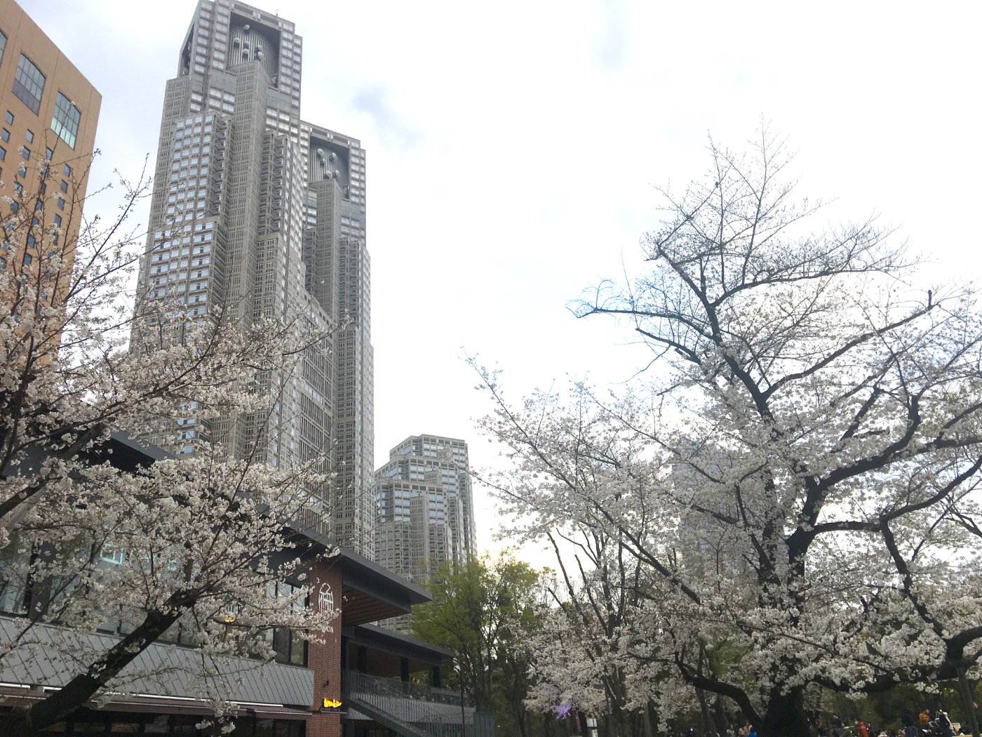 その他 MEGASPACEMOLLY100% Blooming-Sakura MEGASPACEMOLLY100% Blooming-Sakura