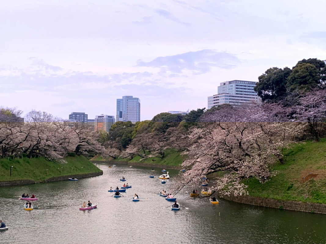 Chidorigafuchi, Tokyo